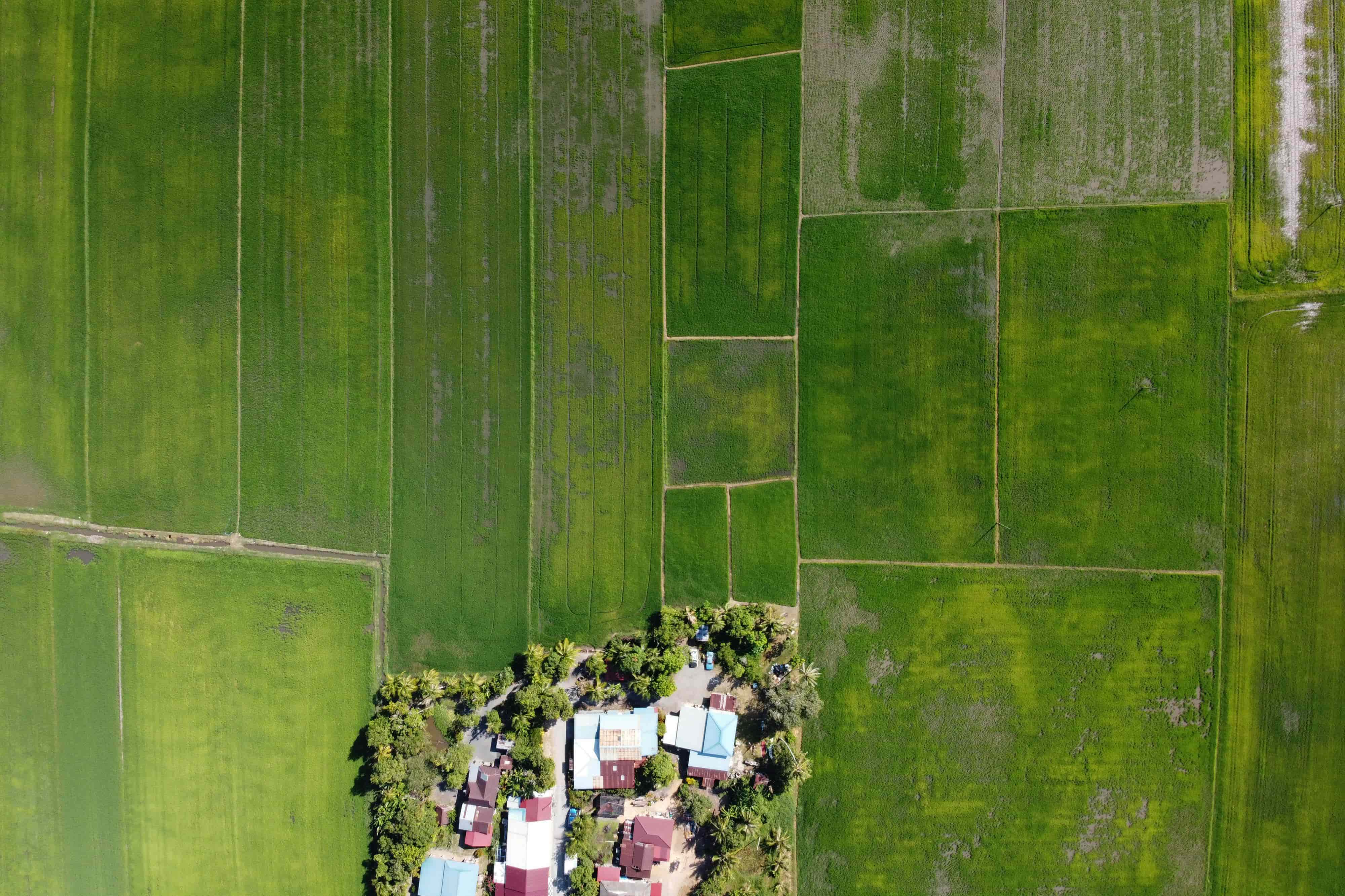 Industrial Plot Yamuna Expressway